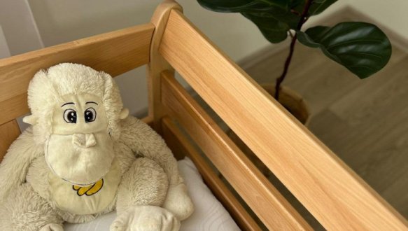 Ліжко Тедді 8