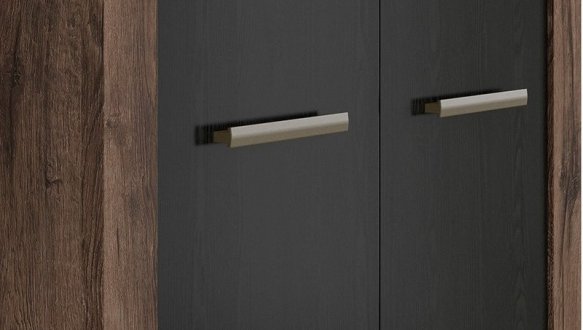 Шафа SZF2D BRW Poland Balin 2 дверна дуб чорний 98 см 3