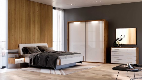 Шкаф-купе 2.5 Ники 1