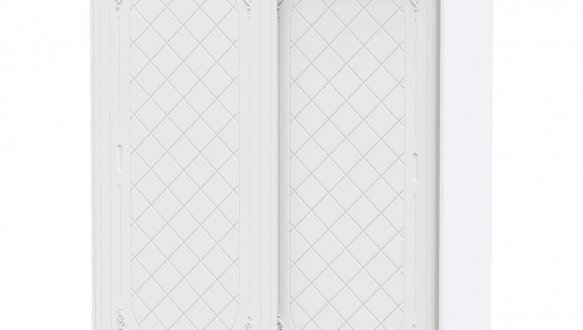 Шкаф-купе Амели 0