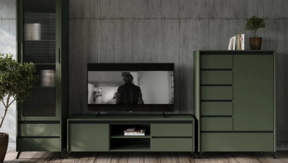 Тумба під ТВ RTV1K2So 1-дверна з 2 шухлядами Лаундж Зелений димчастий / Чорний 2