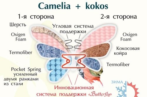Матрас Camelia + Kokos / Камелия + Кокос 5