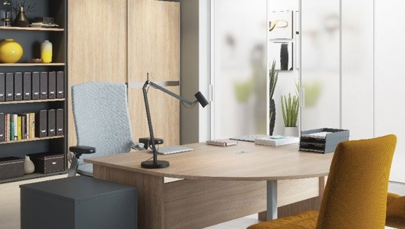 Шкаф-купе 12 OMEGA 4