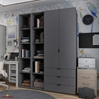 Шафа Дорос Гелар графіт з 2 Етажерками 2-х дверна 153,9 см