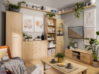 Витрина REG1D1W Nepo Pluse 