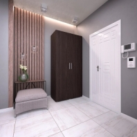 Шкаф Морели SТ 0009 2 дверный венге темный с трубой 100 см