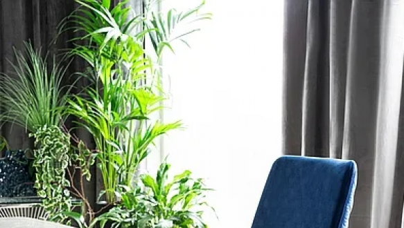 Стул Piano B Velvet синий 0