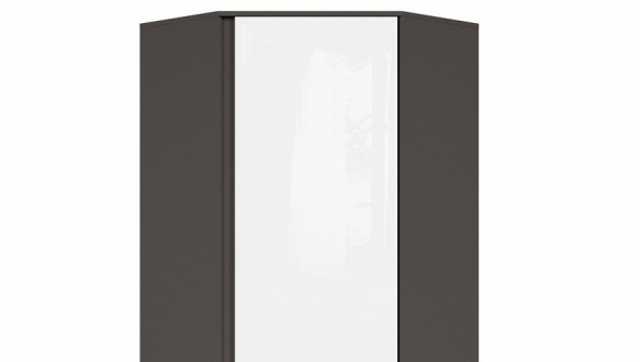 Шкаф угловой SZFN1D/C GRAPHIC 10