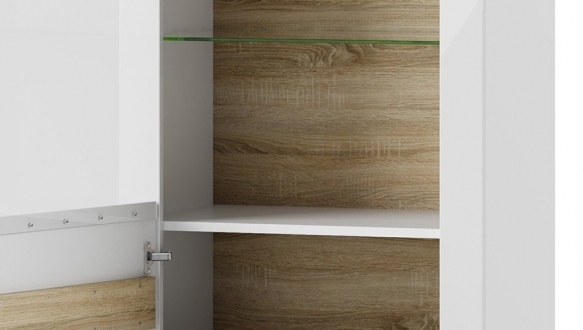 Витрина 01 ICE 3