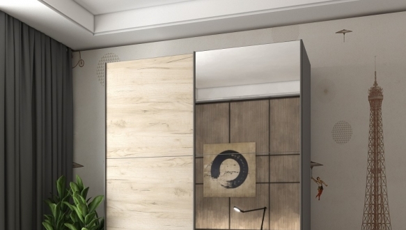 Шкаф-купе с зеркалом Дорос G-Caiser графит/дуб Крафт 2 дверный 160 см 1