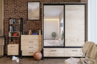 Шафа 2Д2Ш Лофт