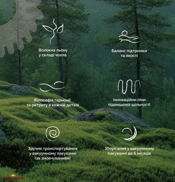 Матрас ортопедический безпружинный Matroluxe Therapy / Терапия 5