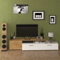 Стінка Астін