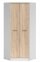 Шкаф угловой SZFN2D Непо 3