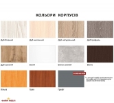 Прихожая-купе 1м однодверное цветное стекло 3