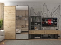 Шкаф-купе с зеркалом G-Caiser белый/дуб Эвок 2 дверный 160 см 2