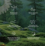 Матрас ортопедический безпружинный Matroluxe Meditation / Медитация 9