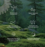 Матрас ортопедический безпружинный Matroluxe Therapy / Терапия 5